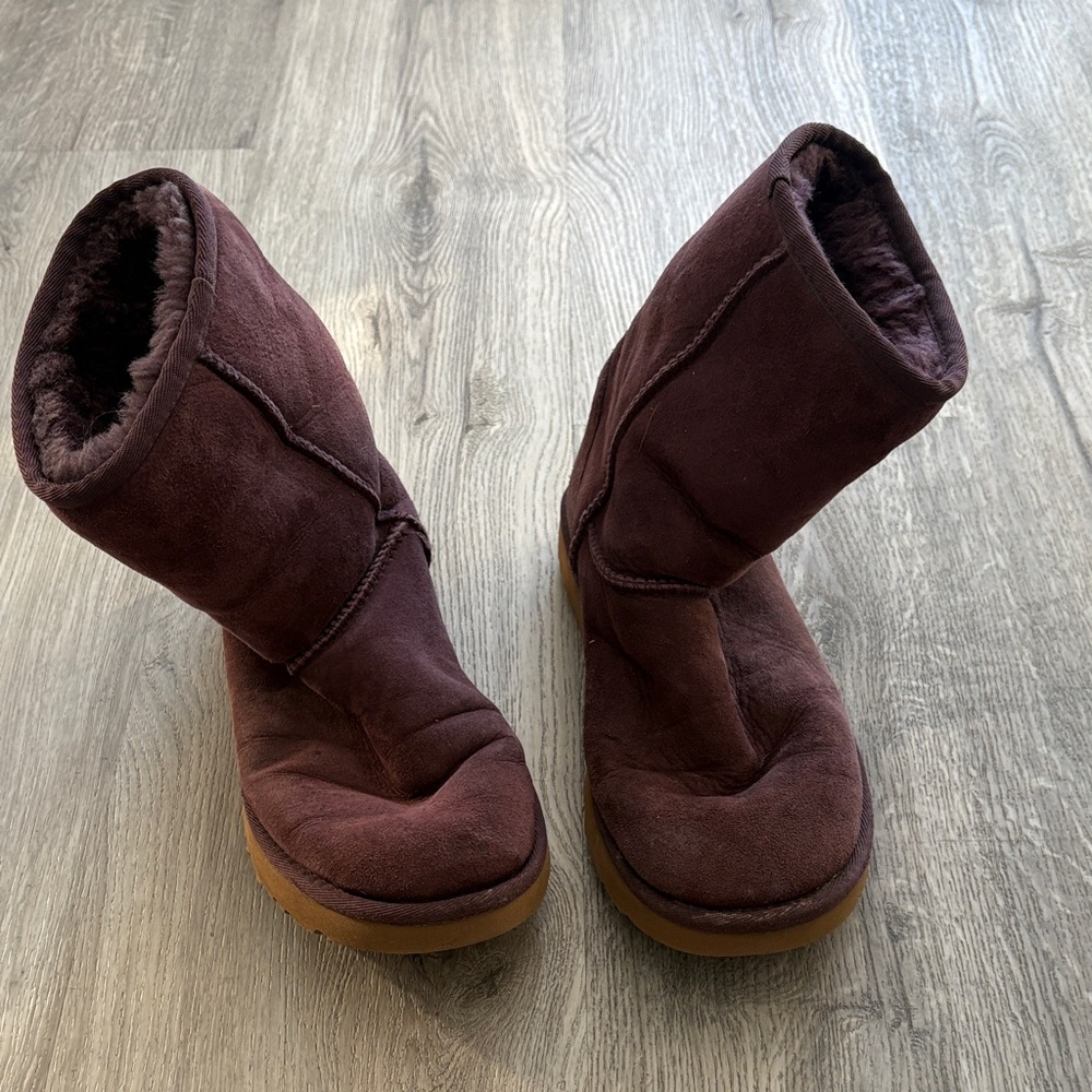 UGG Women's Plum Suede Winter Boots